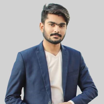 Software Developer