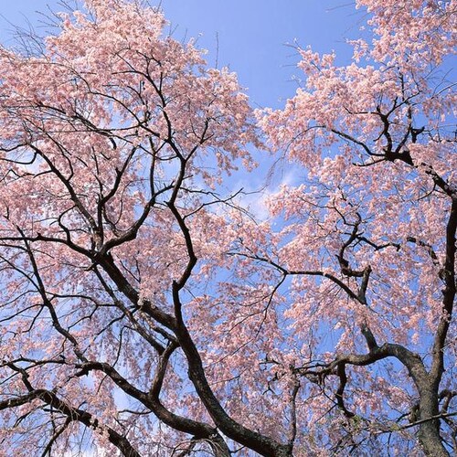 Visit ergtdrgdfg's profile on GETTR. View their posts, photos, videos, and connect with them on the social platform.