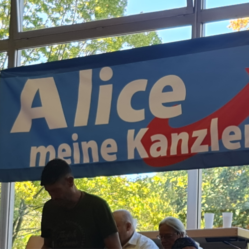 kein lämming