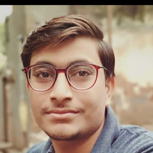 Business Development Executive at The Insight Partners