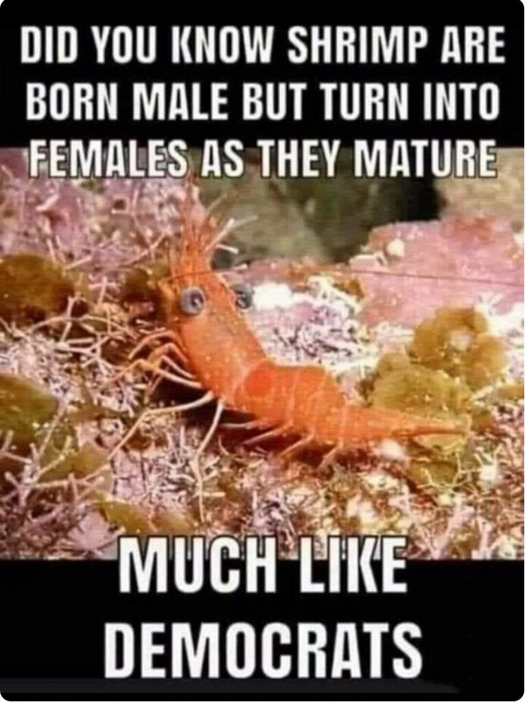 View 🇺🇸TheDogg🇺🇸's post on GETTR. Join the discussion, share your thoughts, and connect with the community.