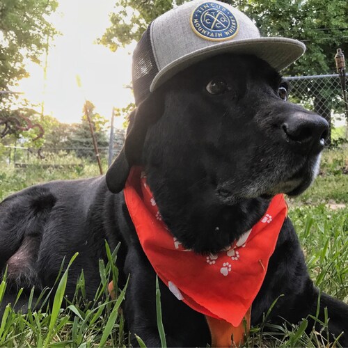 Stop abortion. No vaccine mandates. I work for a large corrupt hospital system in a politically disgusting but gorgeous ...