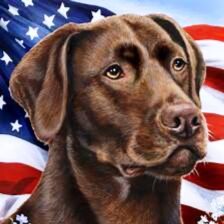 Visit Patriot188's profile on GETTR. View their posts, photos, videos, and connect with them on the social platform.