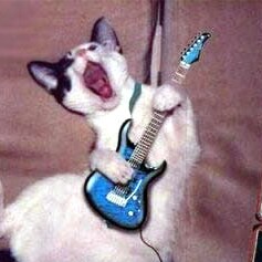 The wind blows wherever it pleases. [John 3:8]