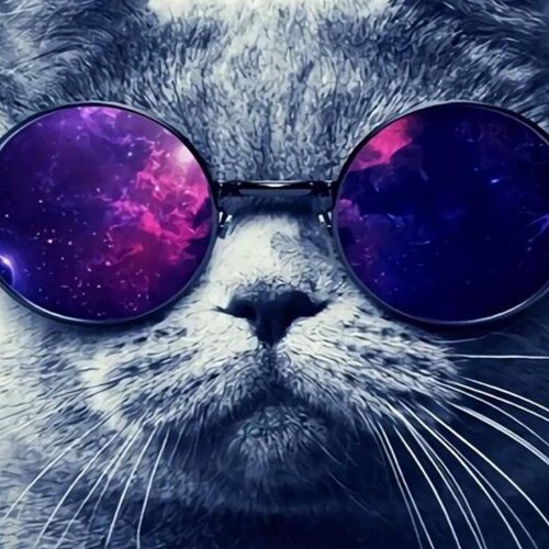 MAGA, AMERICA First, SAVE America , Constitutionlist Conservative, In God We Trust, Congressional Switchboard 202 224 31...