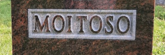 Emoitoso