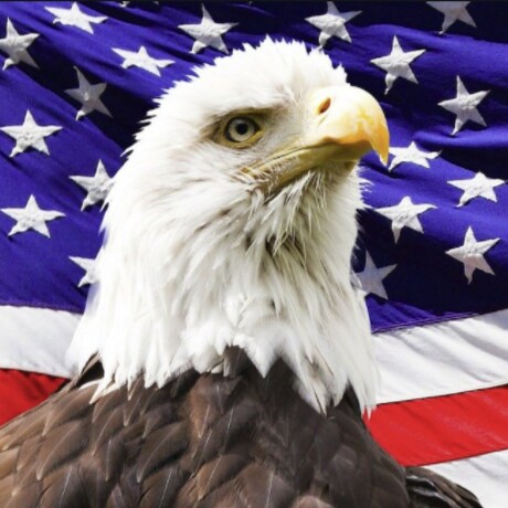 Visit PatriotsUnited's profile on GETTR. View their posts, photos, videos, and connect with them on the social platform.