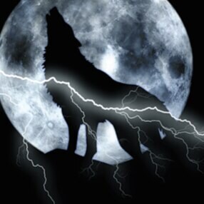 Not a bot, but I identify as a wolf, and if you disagree, that is a hate crime! 😜
Note: May or may not be an actual wo...