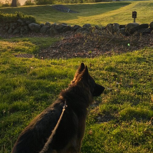 The glorious Hudson Valley due north of West Point, where the Revolutionary War ended in victory by Gen Washington, & Ma...