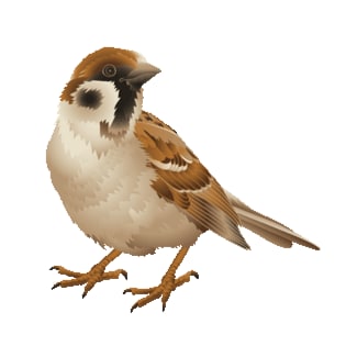 IVMの勉強をするために参加しています。よろしくお願いします。