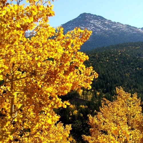 Visit ElizabethHarris's profile on GETTR. View their posts, photos, videos, and connect with them on the social platform.