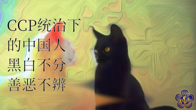 4月14日 七哥乱聊直播