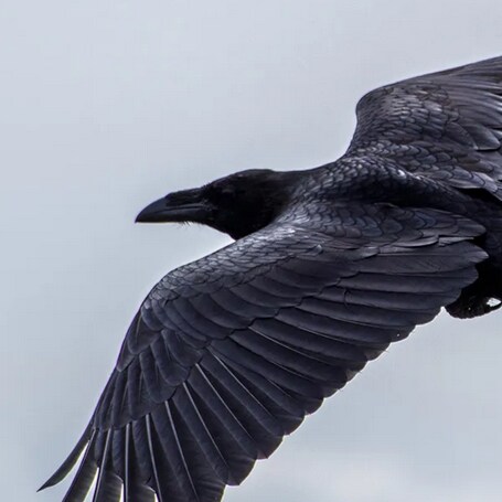 Reposting ideas I agree with.